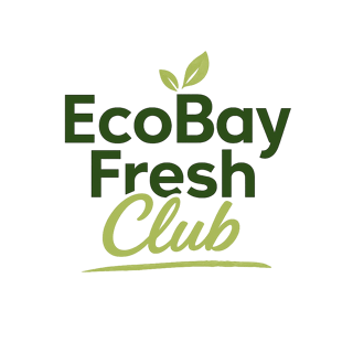 Fresh Club